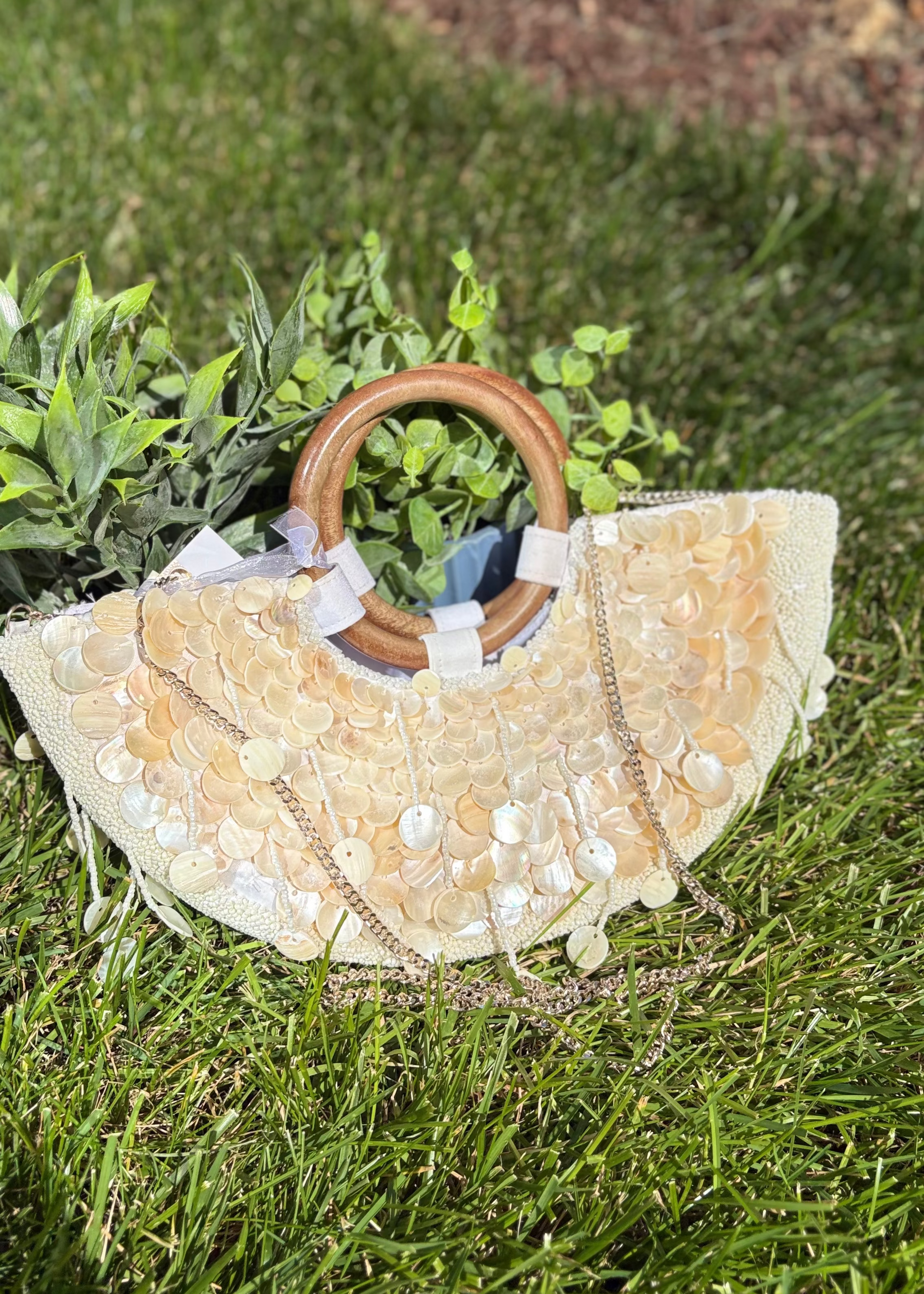 Shell Bag